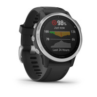 Годинник Garmin Fenix 6S Silver with Black Band
