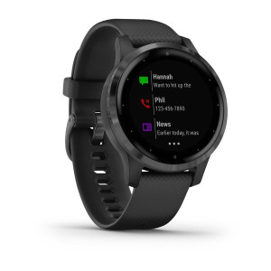 Годинник Garmin vivoactive 4S Black/Slate 