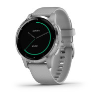 Годинник Garmin vivoactive 4S Powder Gray/Silver 