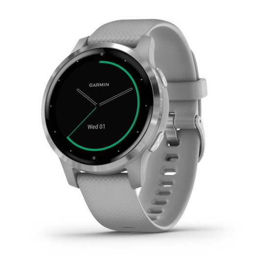 Годинник Garmin vivoactive 4S Powder Gray/Silver 
