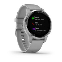 Годинник Garmin vivoactive 4S Powder Gray/Silver 