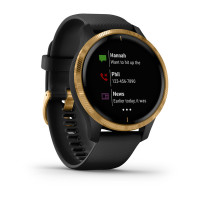 Garmin Venu Black/Gold 