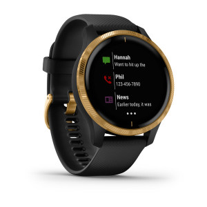 Garmin Venu Black/Gold 