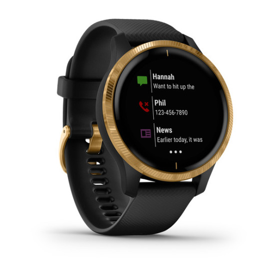 Garmin Venu Black/Gold 