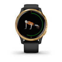 Garmin Venu Black/Gold 