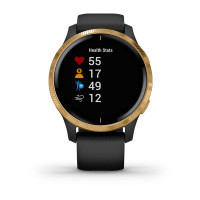 Garmin Venu Black/Gold 