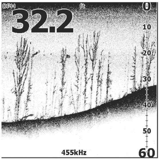 Эхолот Lowrance Mark-5x DSI