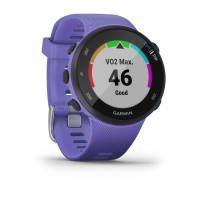 Часы Garmin Forerunner 45S Iris