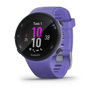 Часы Garmin Forerunner 45S Iris