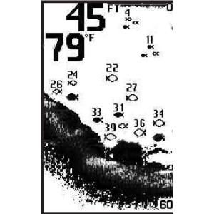 Ехолот Humminbird PiranhaMAX 180x