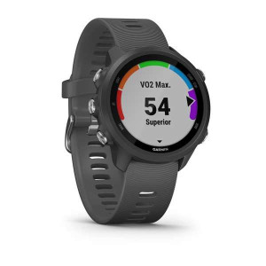 Годинник Garmin Forerunner 245 Slate Gray