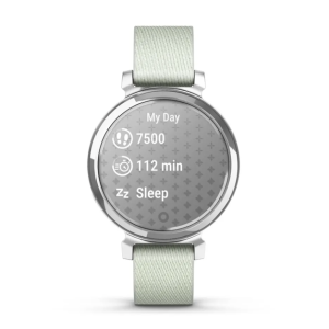 Garmin Lily 2 Classic Silver with Sage Gray Nylon Band