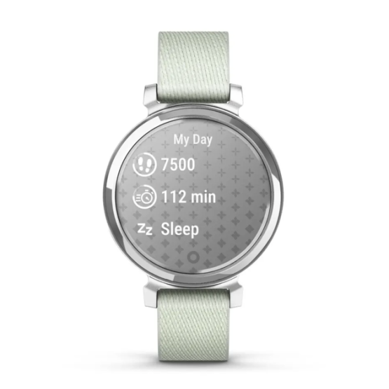 Garmin Lily 2 Classic Silver with Sage Gray Nylon Band
