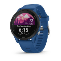 Спортивные часы Garmin Forerunner 255 Tidal Blue
