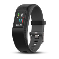 Garmin Vivosport  E EU  Slate  S/M