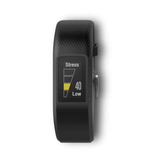 Garmin Vivosport  E EU  Slate  S/M