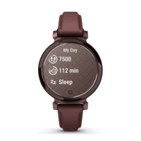 Смарт-годинник Garmin Lily 2 Classic темно-бронзовий із шкіряним ремінцем кольору шовковиці