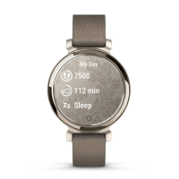 Garmin Lily 2 Classic Cream Gold with Coffee Nylon Band